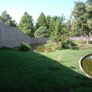 Chimpanzee Connection