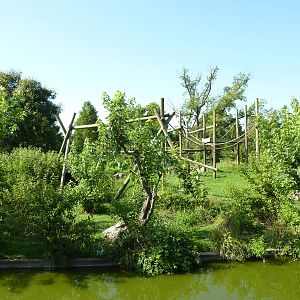 Chimpanzee Connection