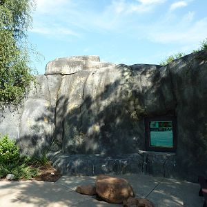 North American Living Museum - Outside Wall Of Empty Polar Bear Exhibit
