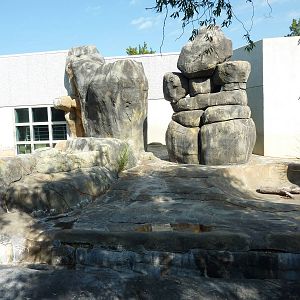 North American Living Museum - Empty Polar Bear Exhibit