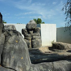 North American Living Museum - Empty Polar Bear Exhibit
