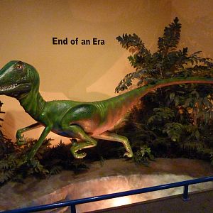 North American Living Museum - Arctic/Tundra Building