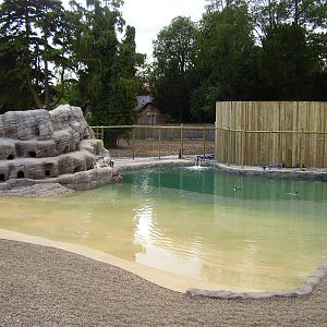 New Penguin Pool