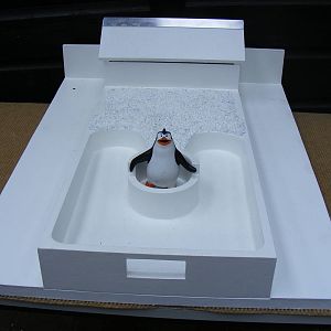 New penguin pool model at Wingham Wildlife Park, 15 August 2010