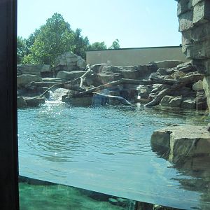 River Otter Exhibit