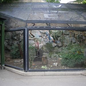 Keas Enclosure - 24.07.2010