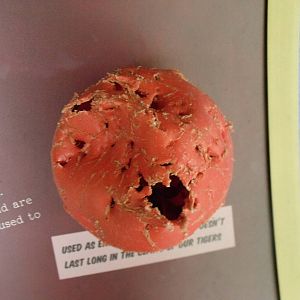 Used Boomer ball on display (Tigers)