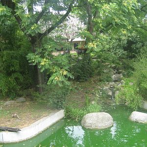 Wilhelma Zoo - Tiger exhibit
