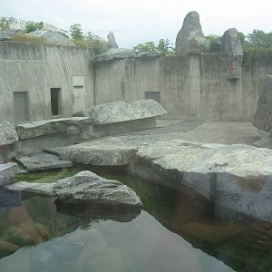 Wilhelma Zoo - Polar bear exhibit