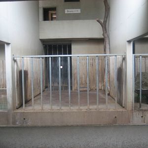 Wilhelma Zoo - Rhino indoor exhibit