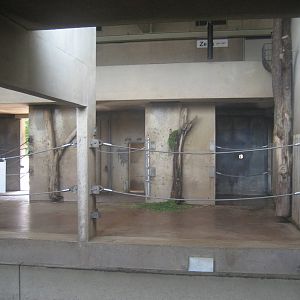 Wilhelma Zoo - Elephant indoor exhibit