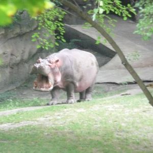 I Want some marbles!!!!