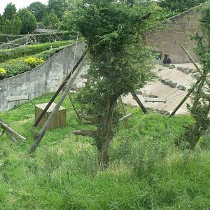 Top half of Chimp enclosure