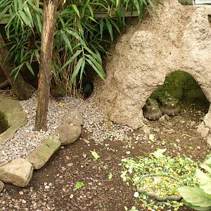 Belfast zoo 19 08 10 194