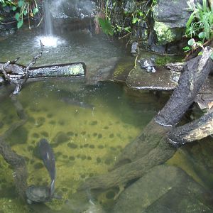 Reptile House - 24.07.2010