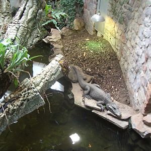 Reptile House - 24.07.2010