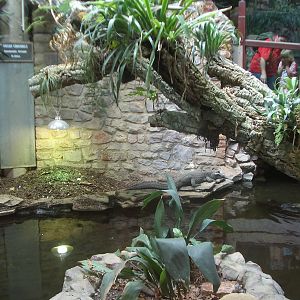 Reptile House - 24.07.2010