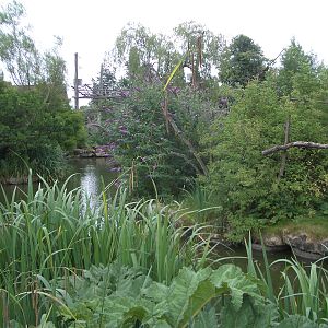 Lake Islands - 24.07.2010