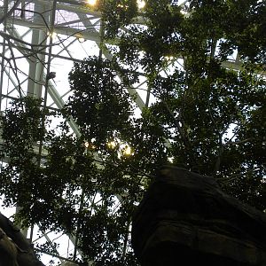 Animal Planet Australia: Wild Extremes