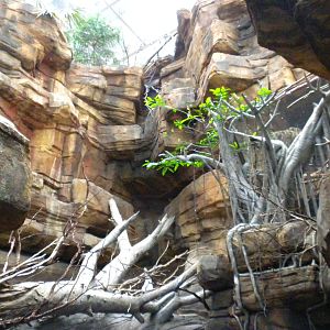 Animal Planet Australia: Wild Extremes