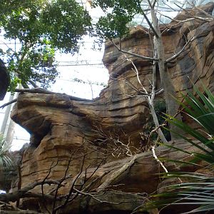 Animal Planet Australia: Wild Extremes