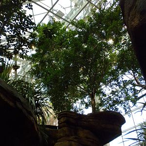 Animal Planet Australia: Wild Extremes