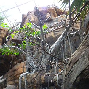 Animal Planet Australia: Wild Extremes