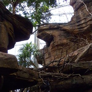 Animal Planet Australia: Wild Extremes