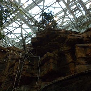 Animal Planet Australia: Wild Extremes