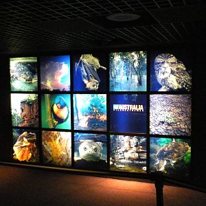 Animal Planet Australia: Wild Extremes