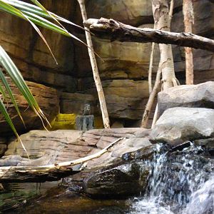 Animal Planet Australia: Wild Extremes