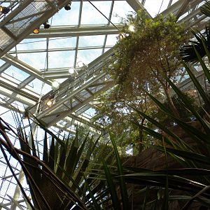 Animal Planet Australia: Wild Extremes