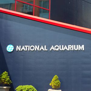 Pier 4 Pavilion Entrance