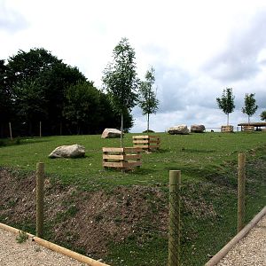 Scandinavian Wildlife Park - Musk ox exhibit