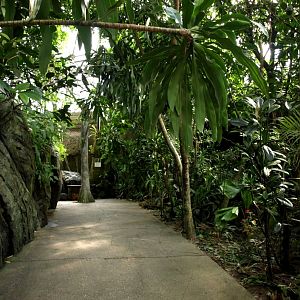 Randers Tropical Zoo - Africa Dome