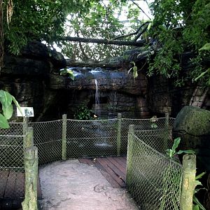 Randers Tropical Zoo - Africa Dome