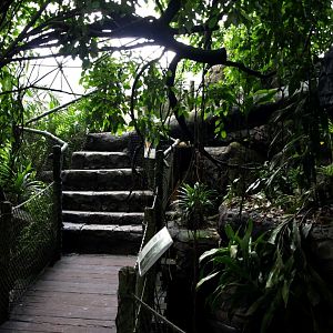 Randers Tropical Zoo - Africa Dome