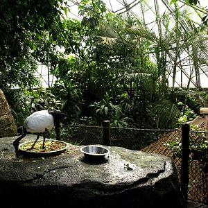 Randers Tropical Zoo - Africa Dome