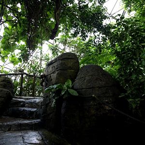 Randers Tropical Zoo - Africa Dome