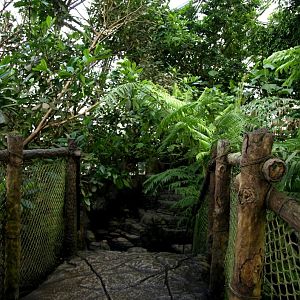 Randers Tropical Zoo - Africa Dome