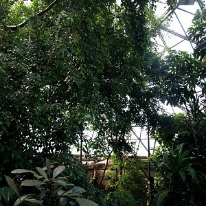 Randers Tropical Zoo - Africa Dome