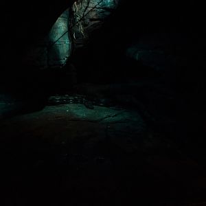 Randers Tropical Zoo - Africa Cave (Python)