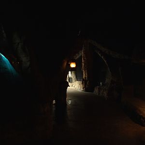 Randers Tropical Zoo - Africa Cave