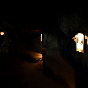 Randers Tropical Zoo - Africa Cave (Aardvark)