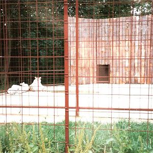 Tiger Territory - July 1989