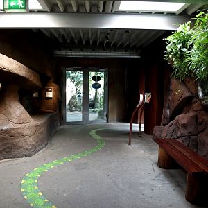 Randers Tropical Zoo - Diorama Hall