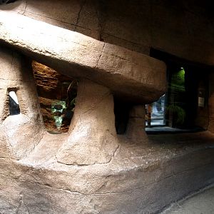 Randers Tropical Zoo - Diorama Hall (King cobra)