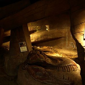 Randers Tropical Zoo - Diorama Hall (Terrarium)
