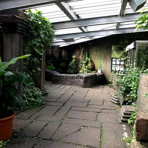 Randers Tropical Zoo - Asian Snake Temple