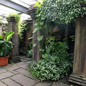 Randers Tropical Zoo - Asian Snake Temple